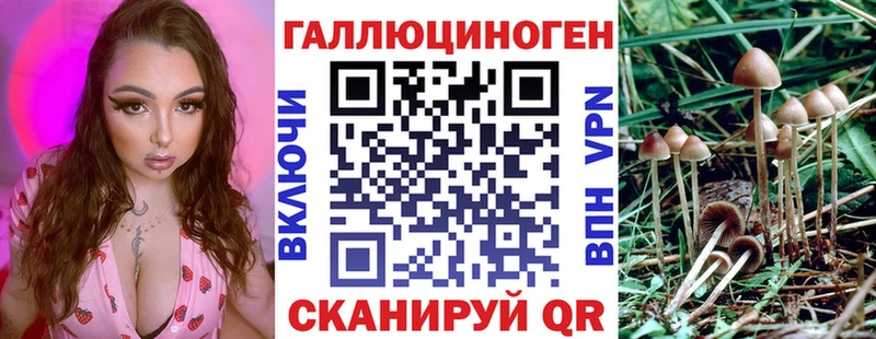 KRAKEN ссылки  Суворов  Псилоцибиновые грибы ЛСД 