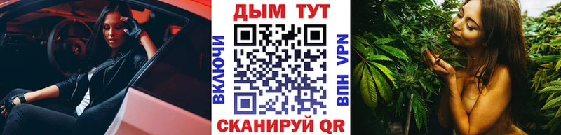 Бошки Шишки сатива Суворов